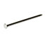 Diall Round wire nail (L)60mm (Dia)3mm, Pack