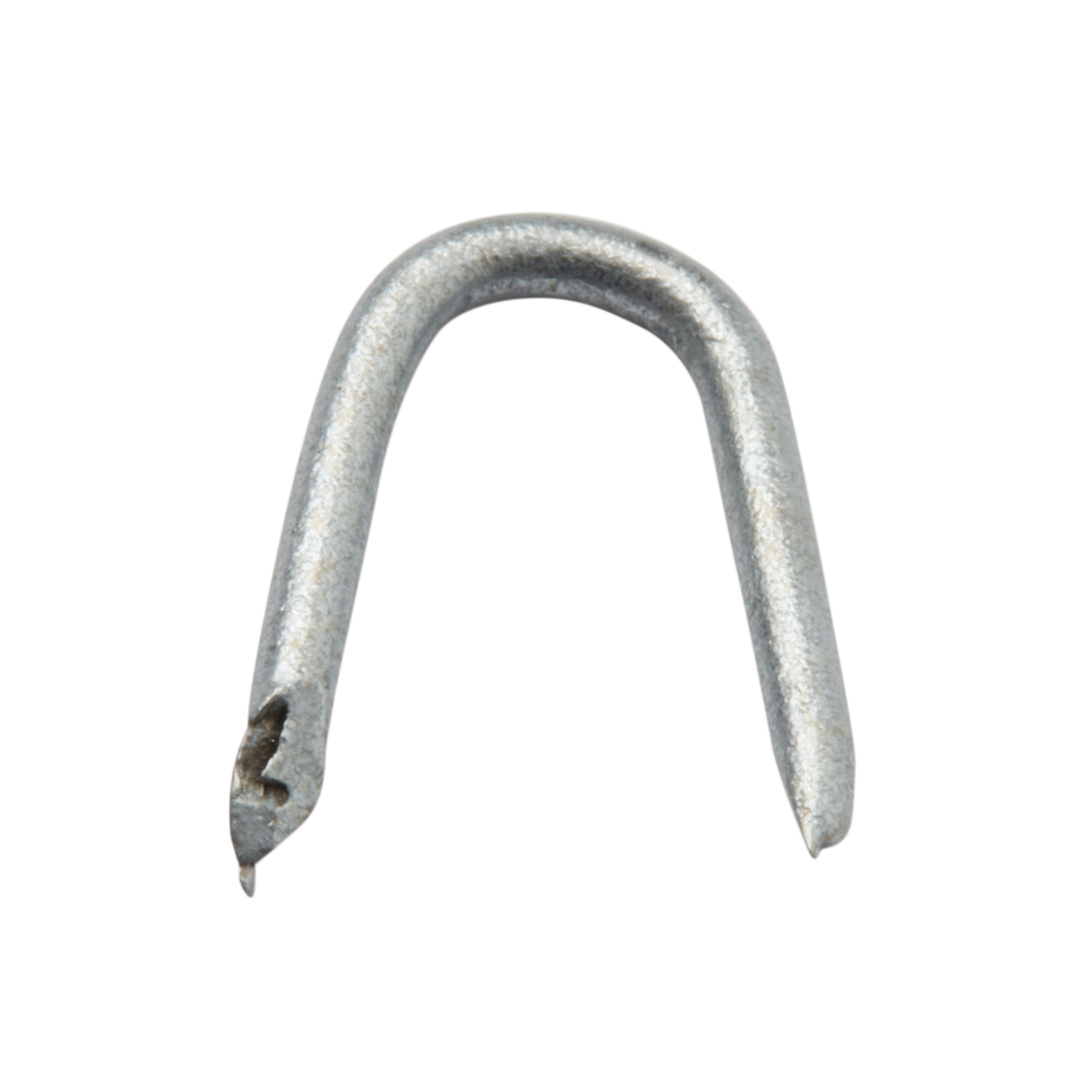 Diall Wire staples (H)14mm (Dia)1.5mm 125g, Pack