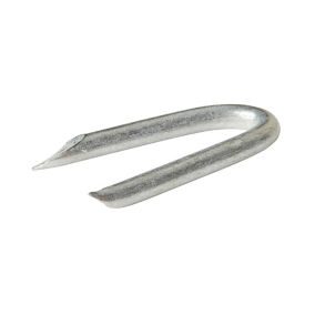 Diall Wire staples (H)30mm (Dia)3mm 125g, Pack