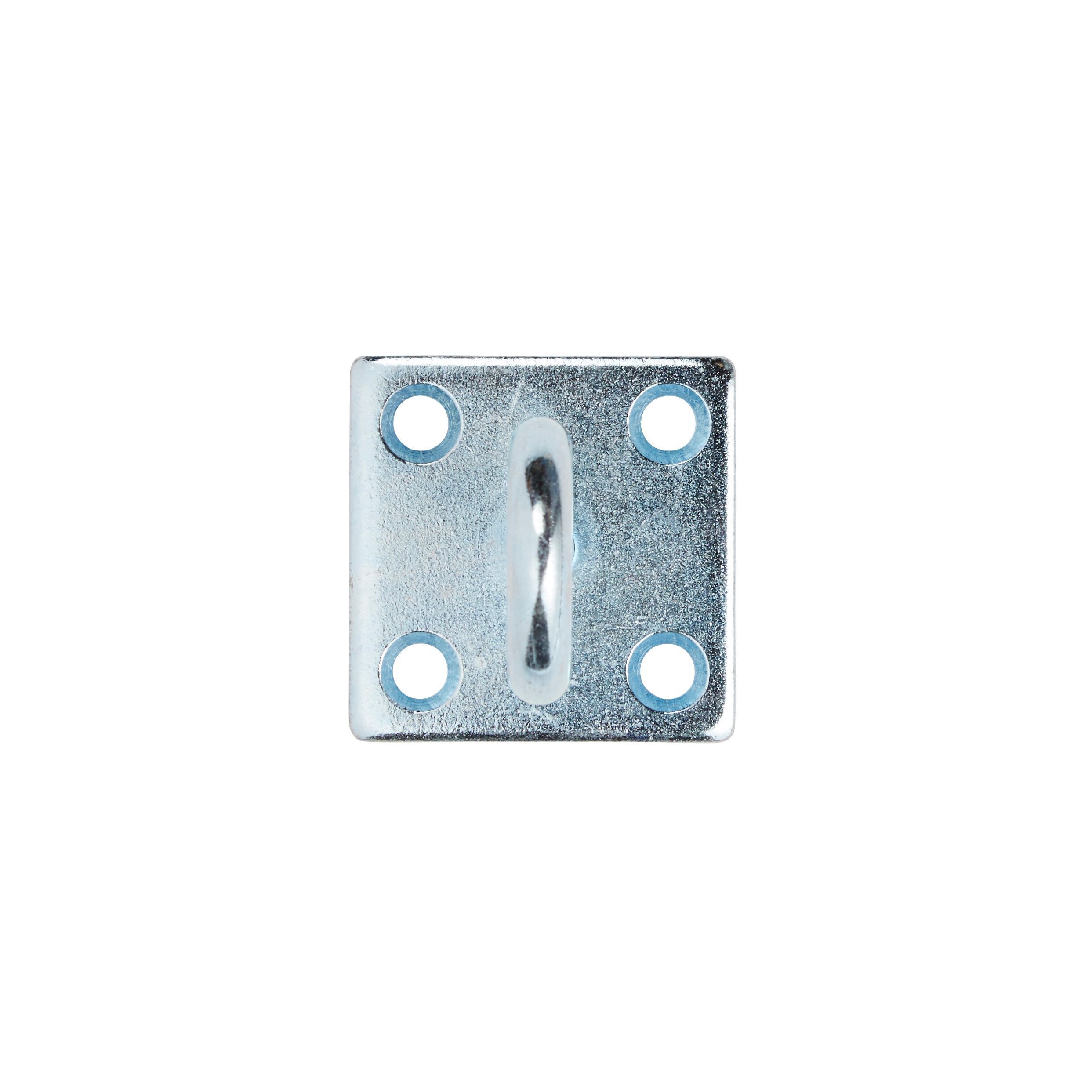 Diall Zinc-plated Galvanised Steel Hook on plate