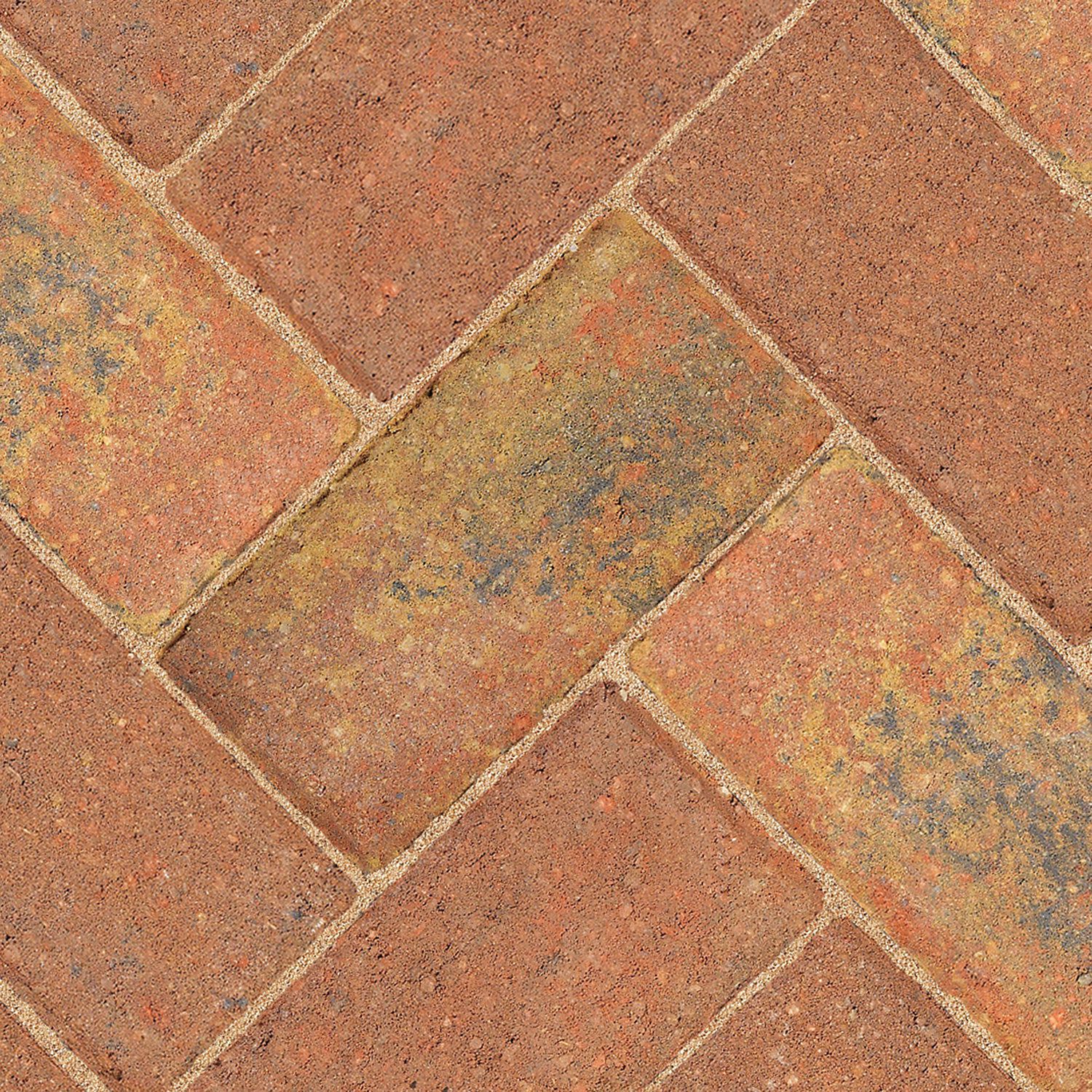 Driveway Autumn Block paving (L)200mm (W)100mm (T)50mm