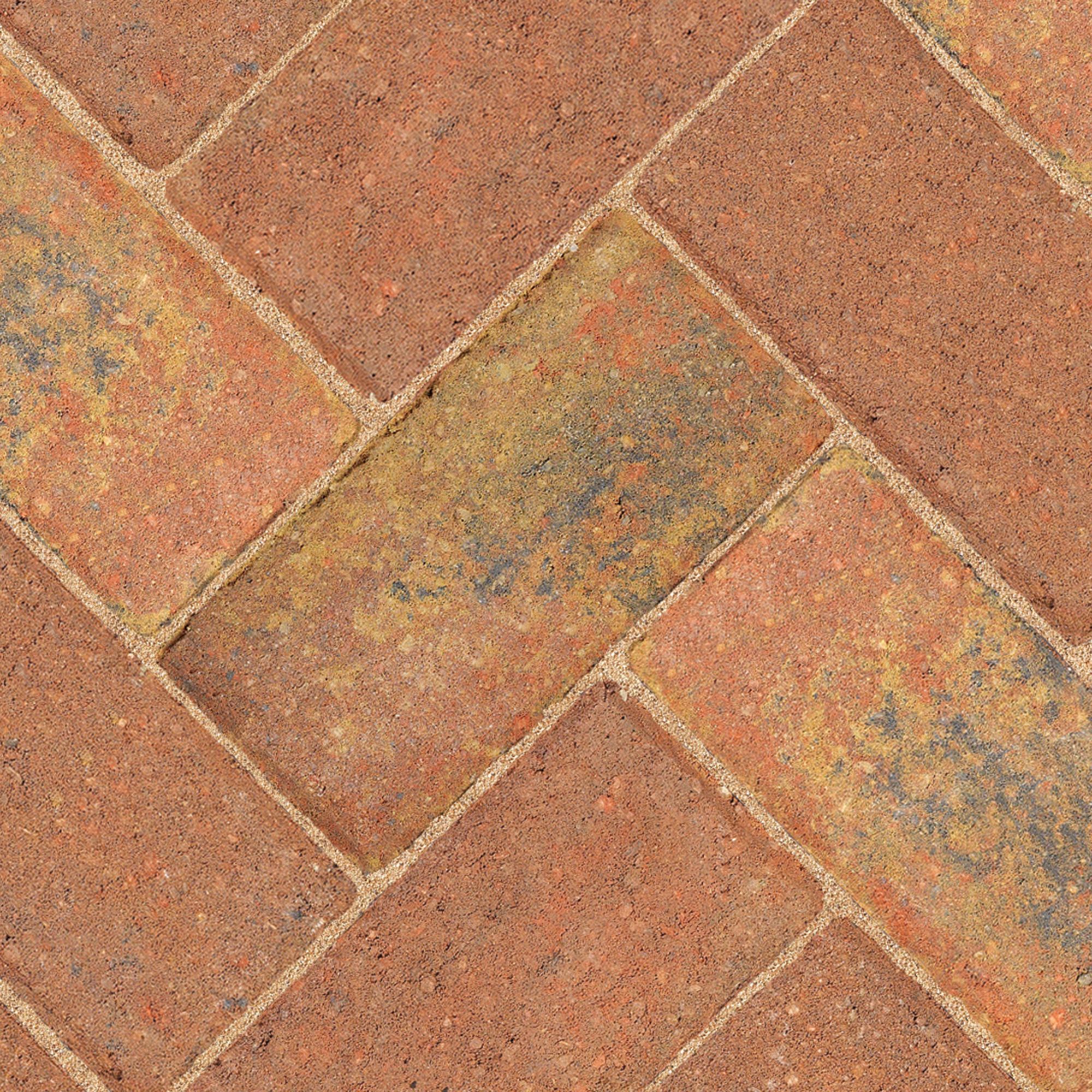 Driveway Autumn Block paving (L)200mm (W)100mm (T)50mm