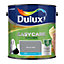 Dulux Easycare Kitchen Natural Slate Matt Wall paint, 2.5L