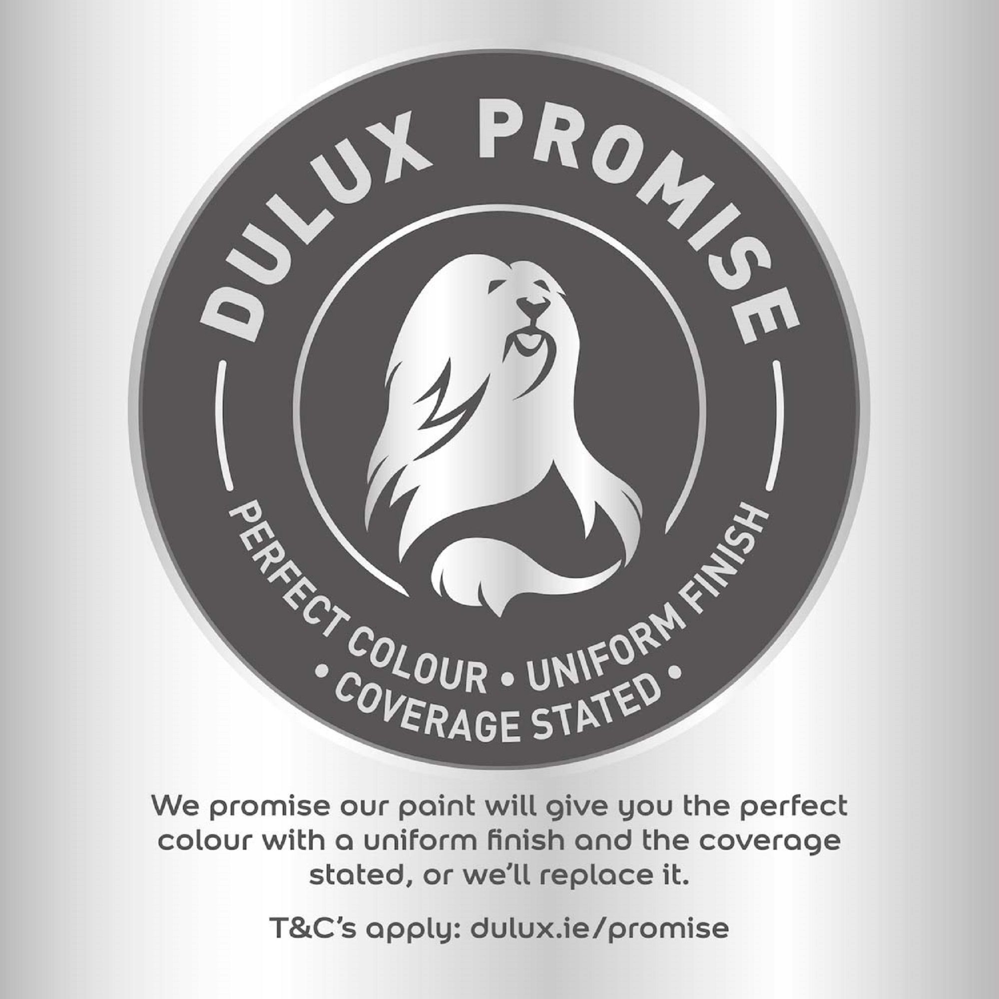 Dulux Easycare Kitchen Timeless Matt Wall & ceiling Emulsion paint, 2.5L