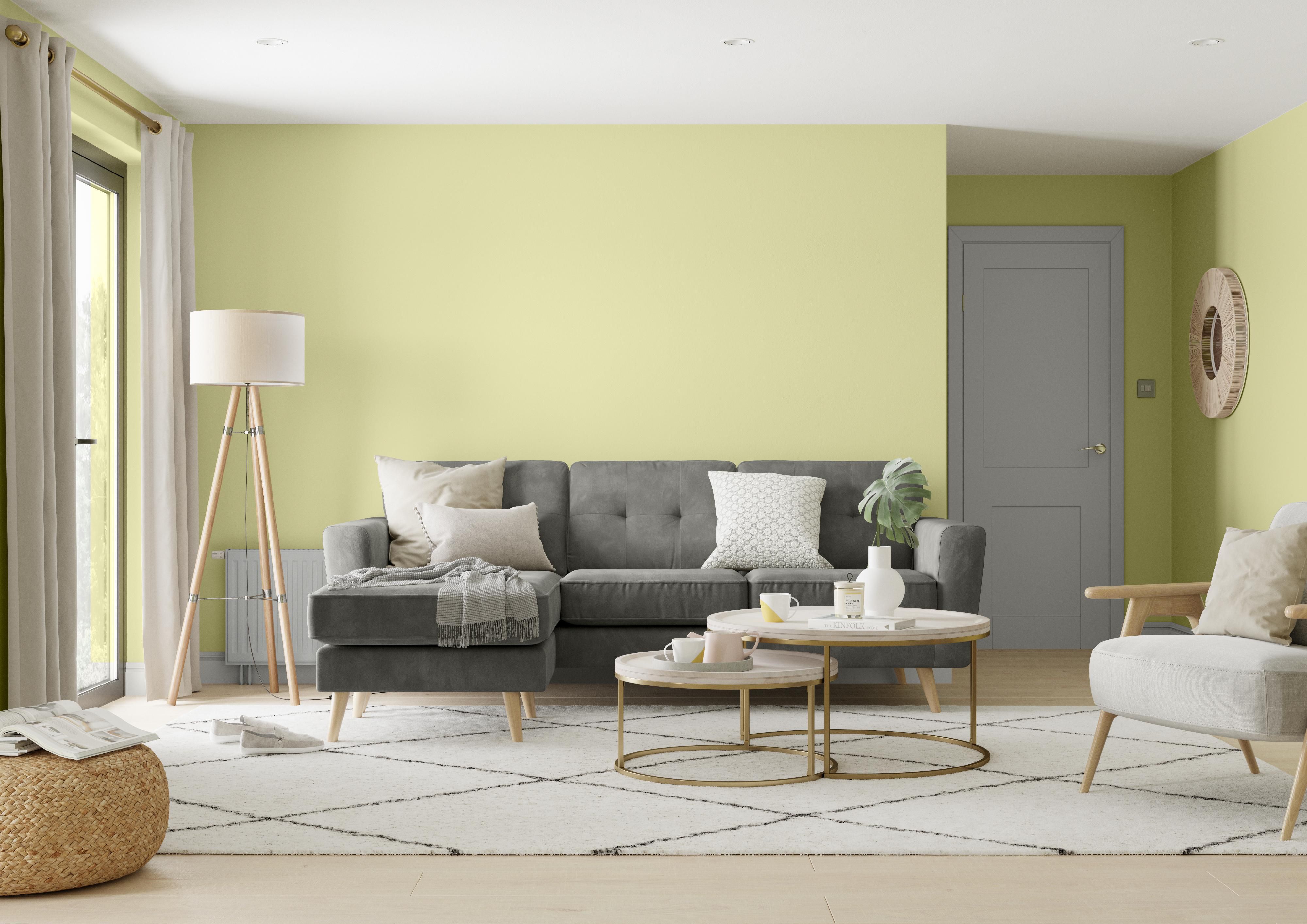 Dulux One coat Melon sorbet Matt Emulsion paint, 1.25L