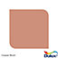 Dulux Standard Copper blush Matt Emulsion paint, 30ml Tester pot