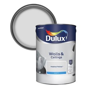 Dulux Walls & ceilings Polished pebble Matt Emulsion paint, 5L