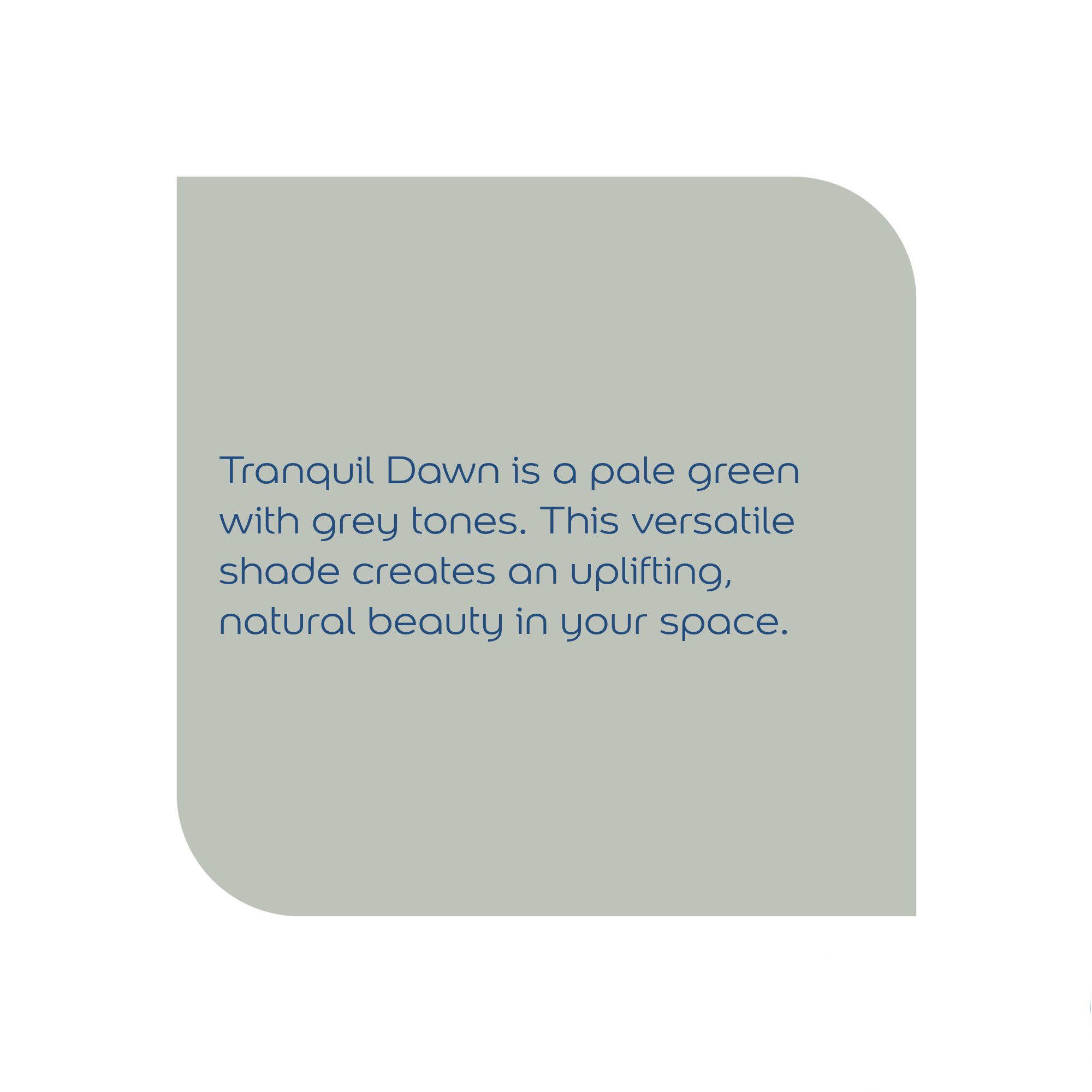 Dulux Walls & ceilings Tranquil dawn Matt Emulsion paint, 2.5L