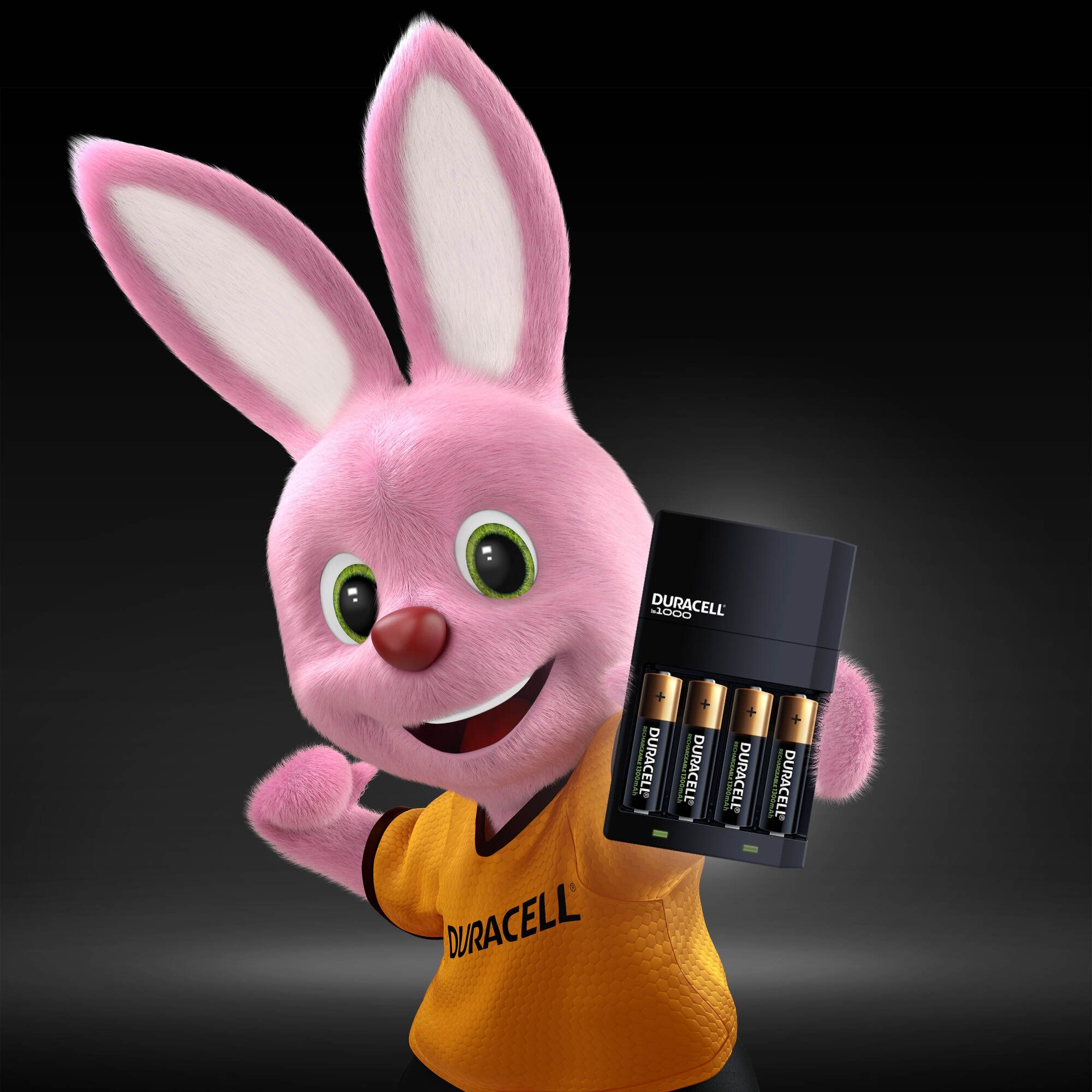 Duracell 240V Battery charger
