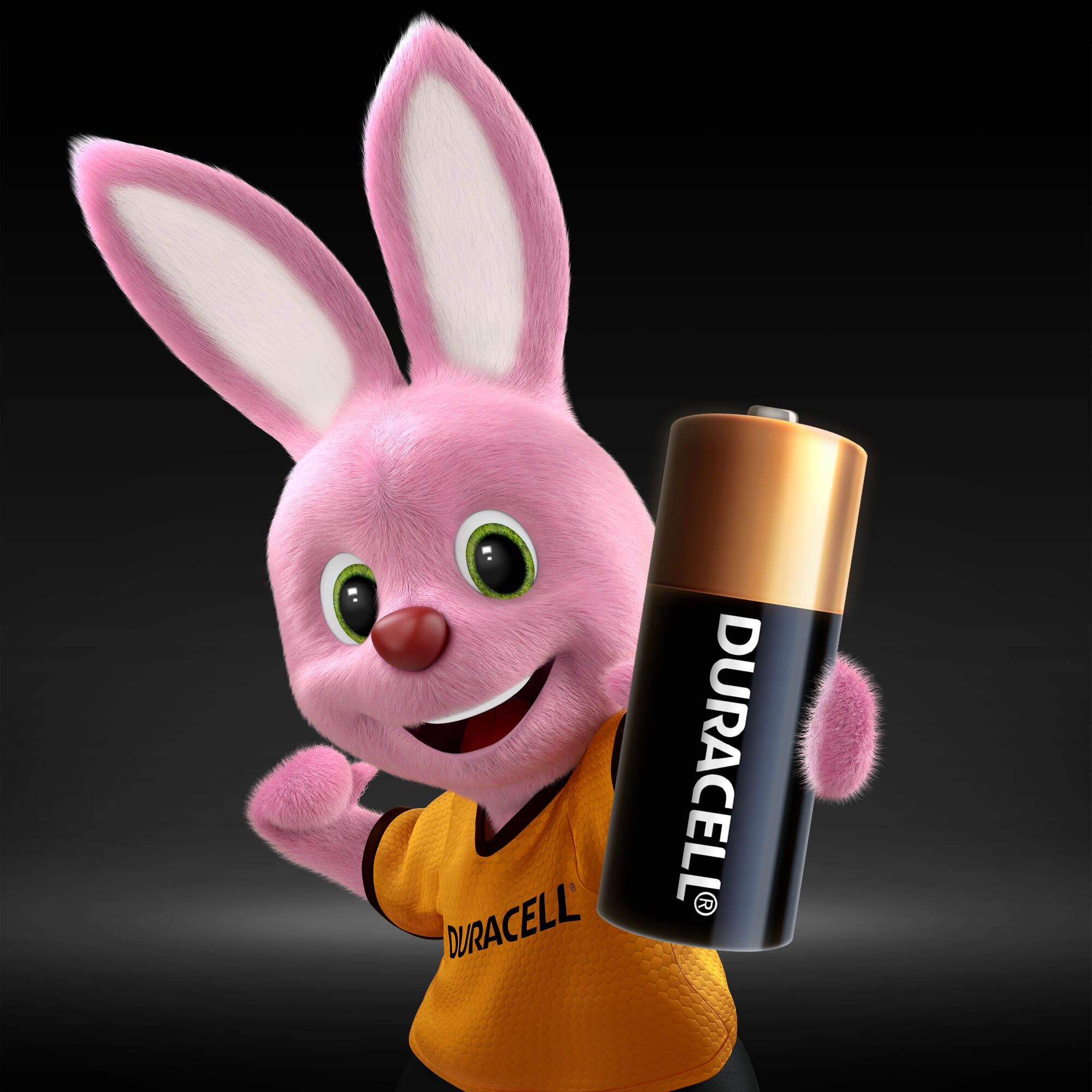 Duracell N (LR1) Battery, Pack of 2