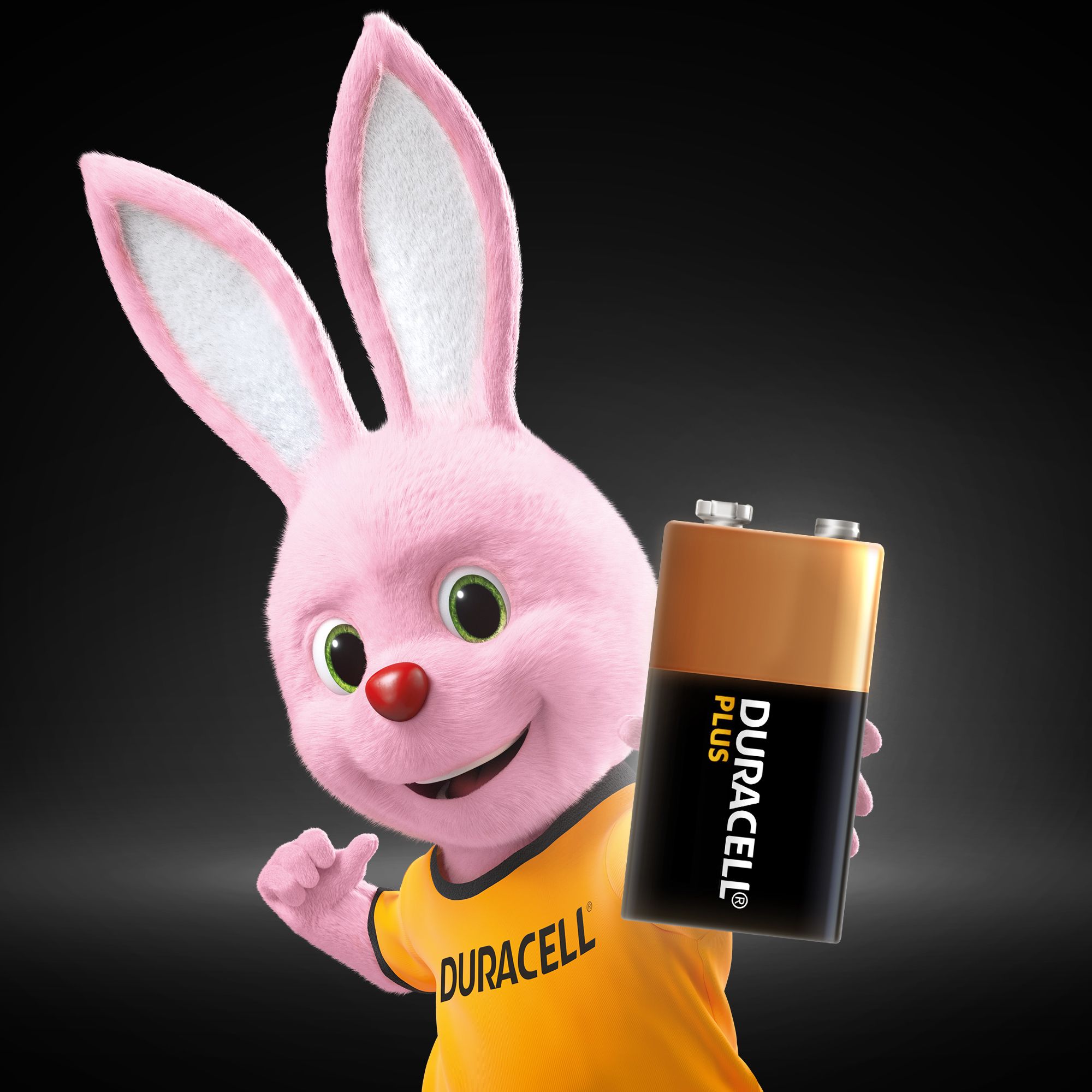 Duracell Plus 9V Battery