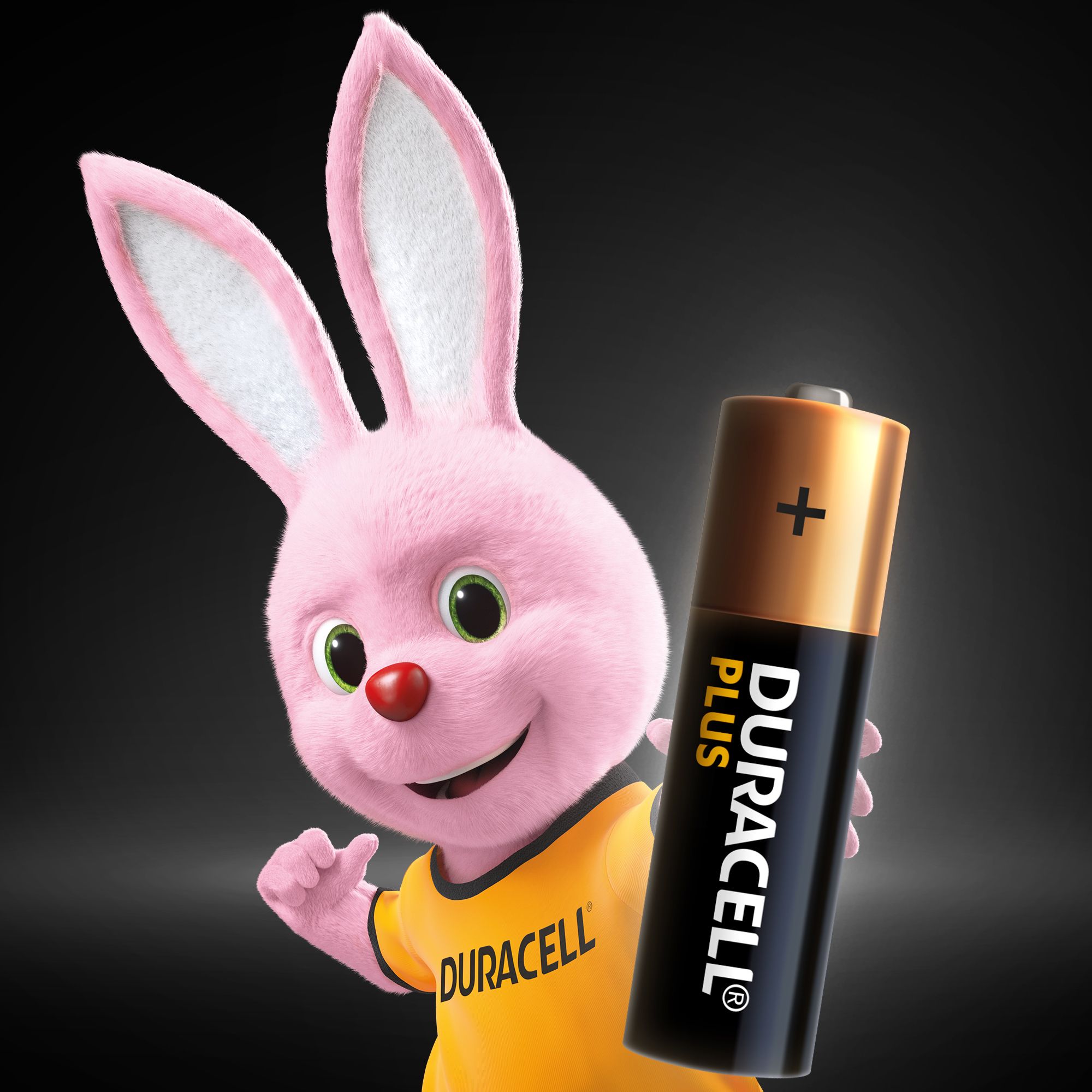 Duracell Plus AA Battery, Pack of 8