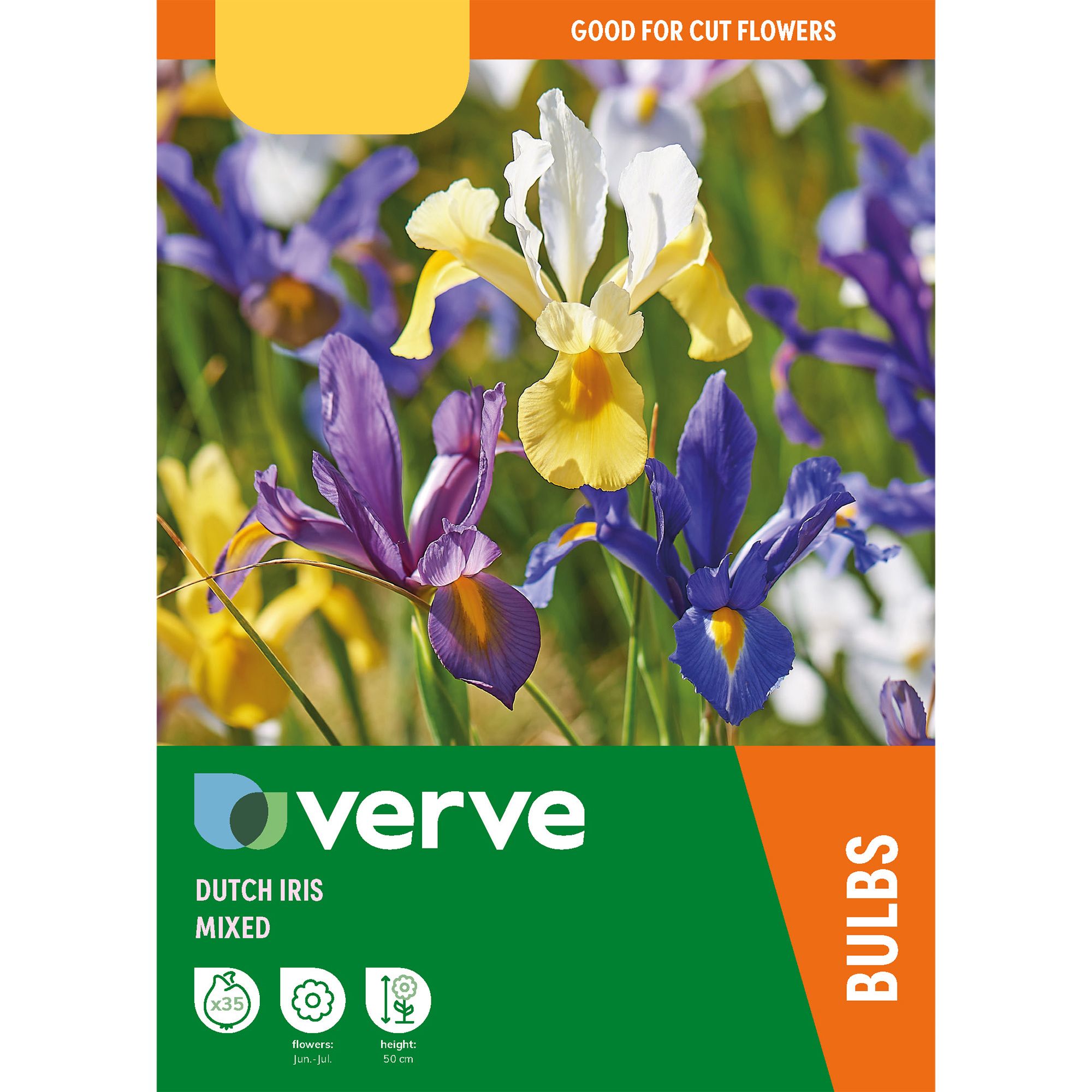 Dutch Iris Mixed Flower bulb, Pack of 35