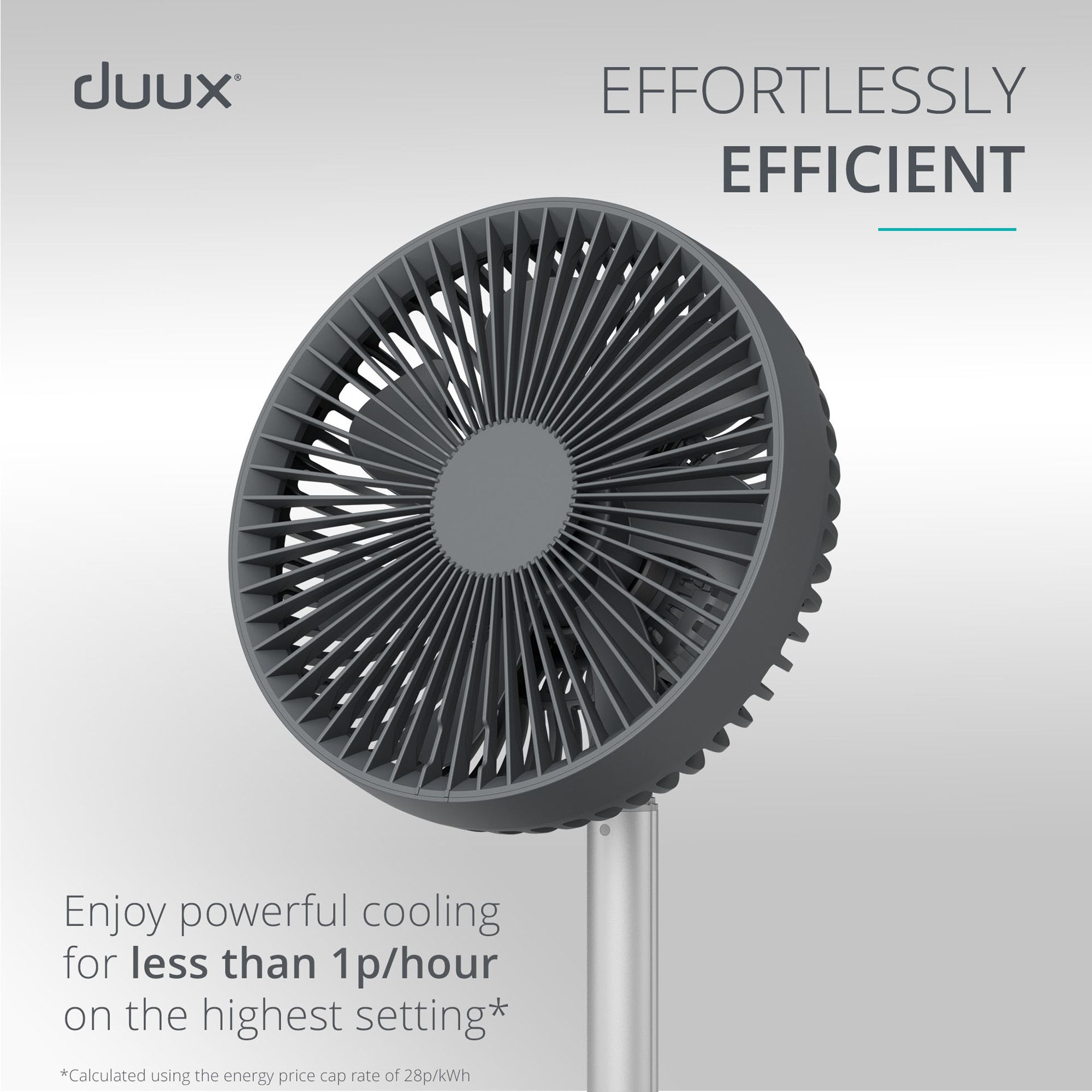 Duux Rize Charcoal Quiet Mark 8" 10W Desk fan