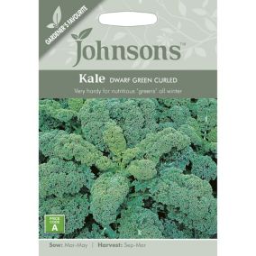 Dwarf Green Curled Kale Seed