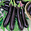 Early Long Purple 2 Aubergine Seed