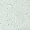 Earthstone Slate Pale slate effect Acrylic Splashback, (H)450mm (T)6mm