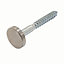 Easyfix Carbon steel Mirror screw, Pack of 10