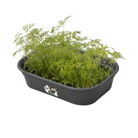 ELHO GROW TRAY SMALL BLACK