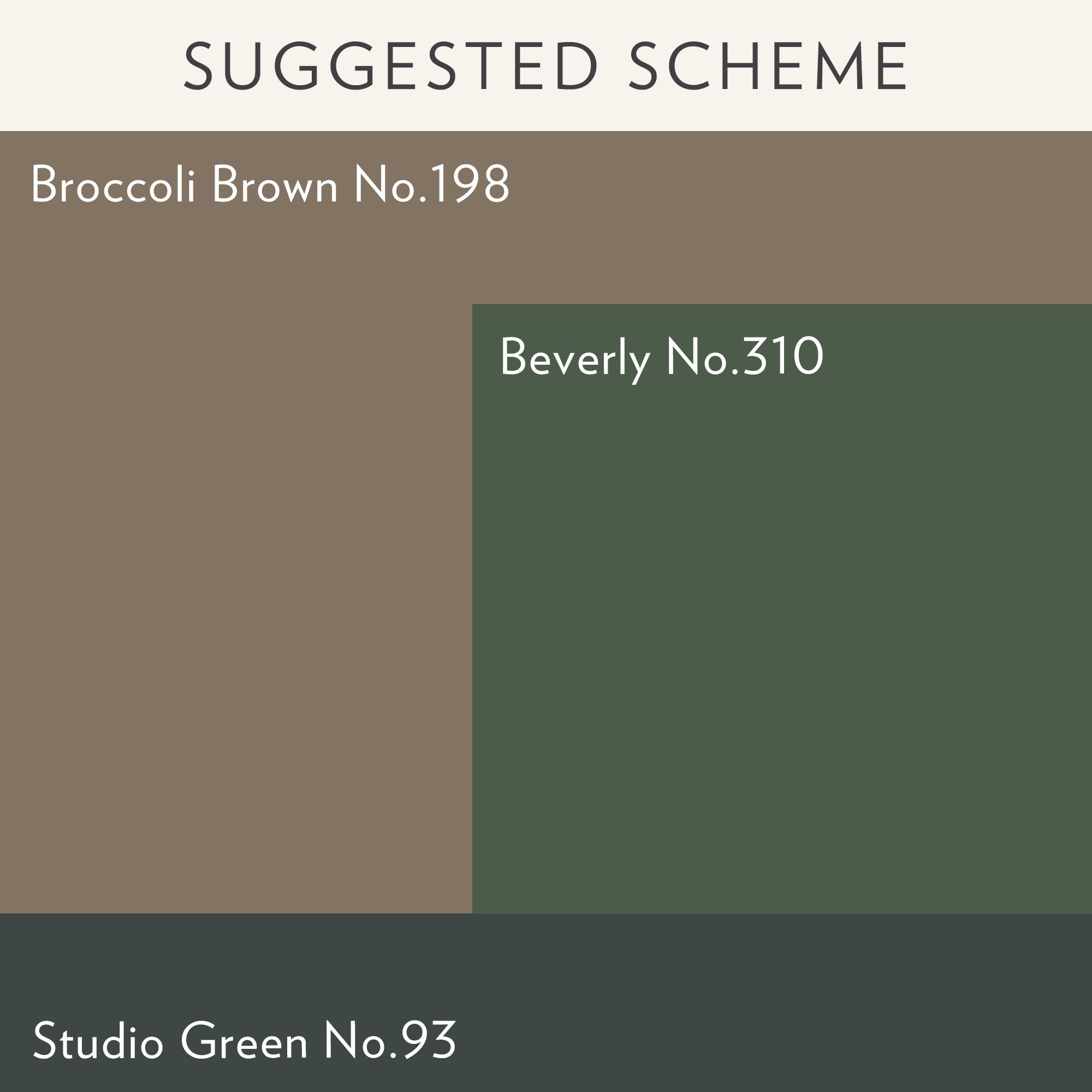 Farrow & Ball Modern Broccoli Brown No.198 Matt Wall & ceiling Emulsion paint, 2.5L
