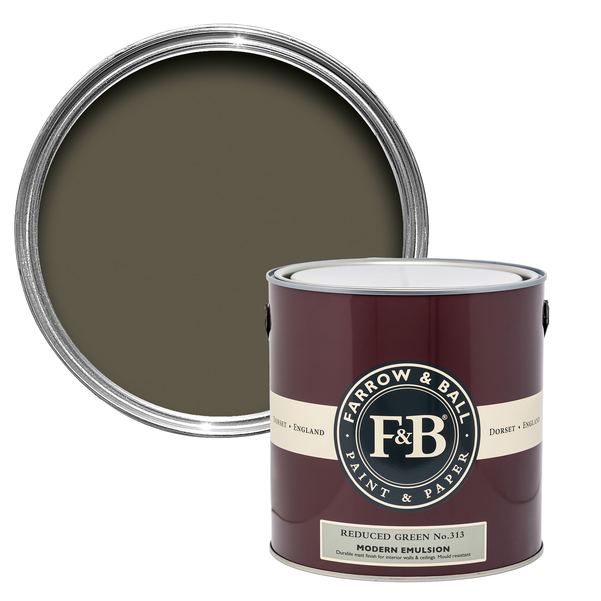 Farrow & Ball Modern Reduced Green No.313 Matt Wall & ceiling Emulsion paint, 2.5L