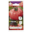 Faworyt tomato Seed