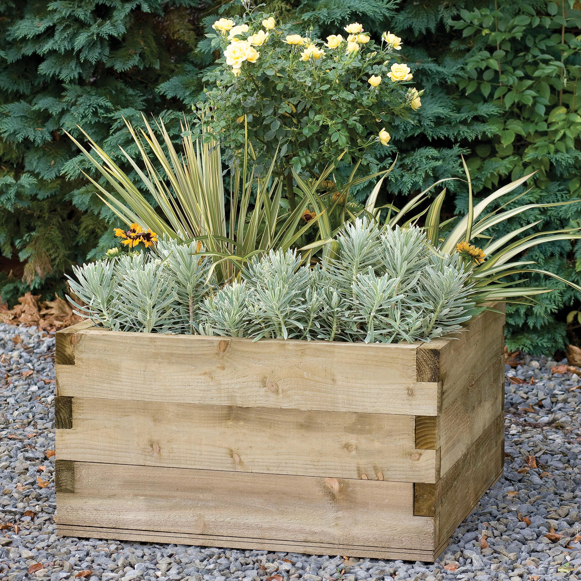 Forest Garden 0.9m x 0.9m Mixed softwood Square Raised bed kit 0.81m²
