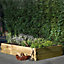 Forest Garden 1.8m x 0.9m Mixed softwood Rectangular Raised bed kit 1.62m²