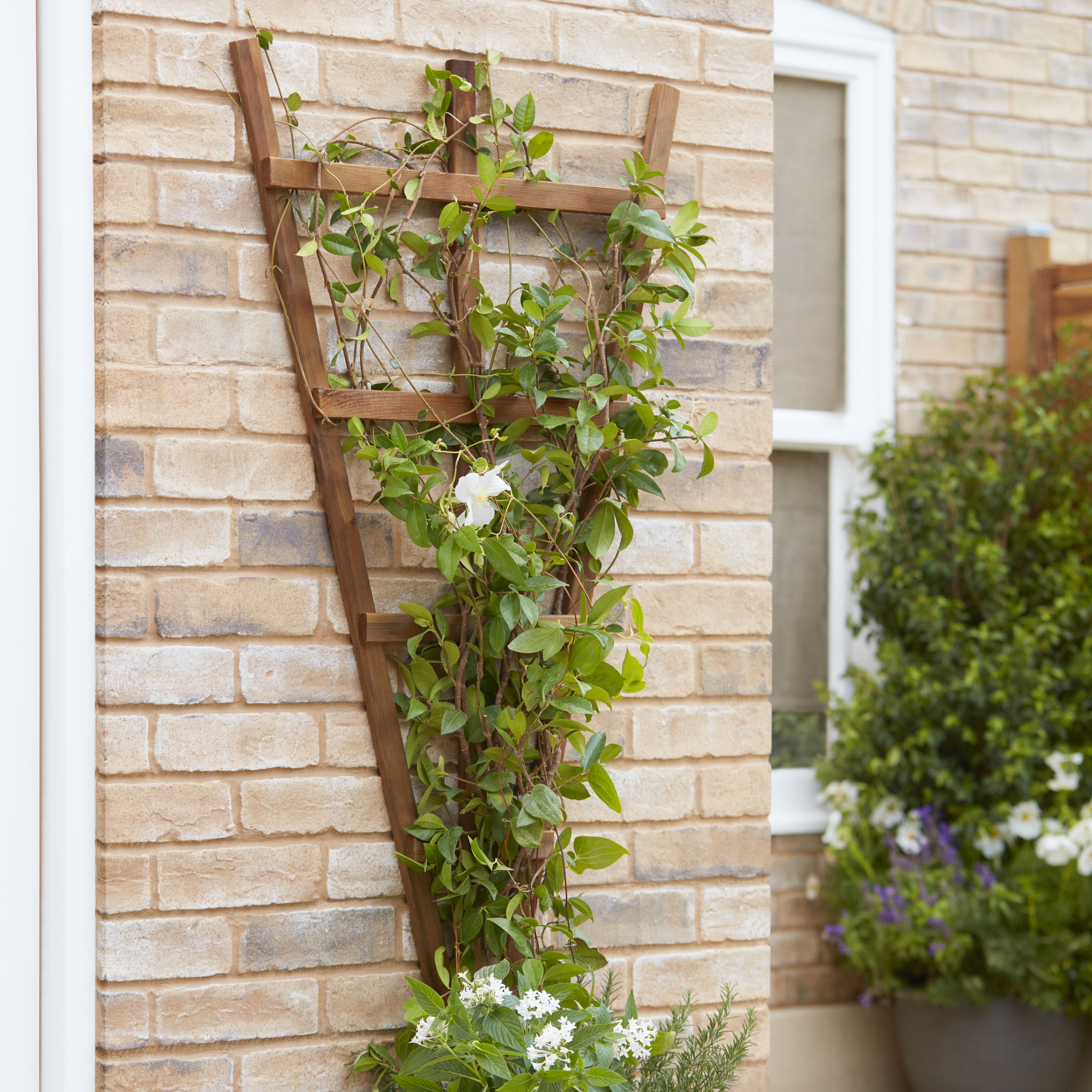 Forest Garden 4ft Fan Timber Trellis panel (W)68cm x (H)120cm