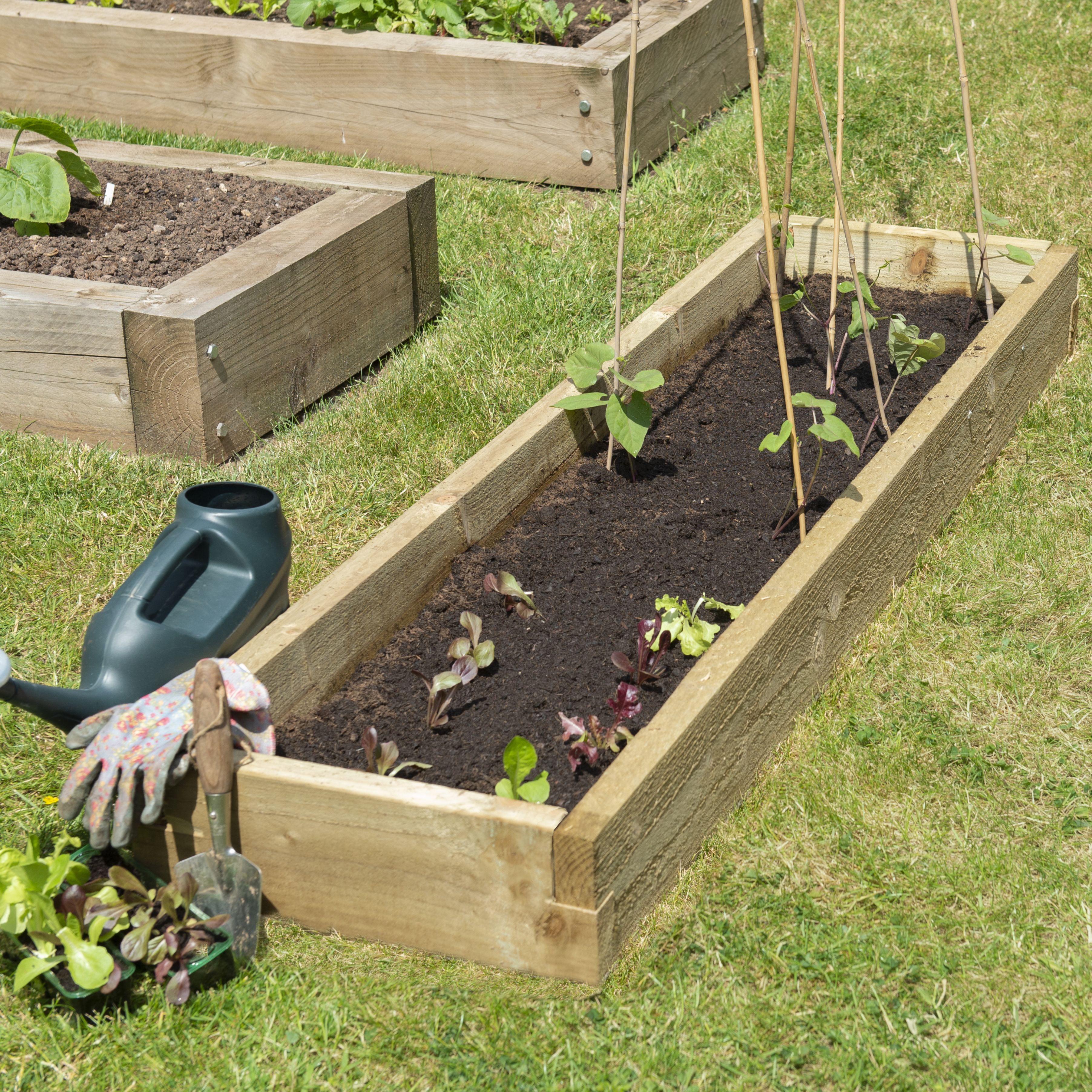 Forest Garden Rectangular Raised bed kit