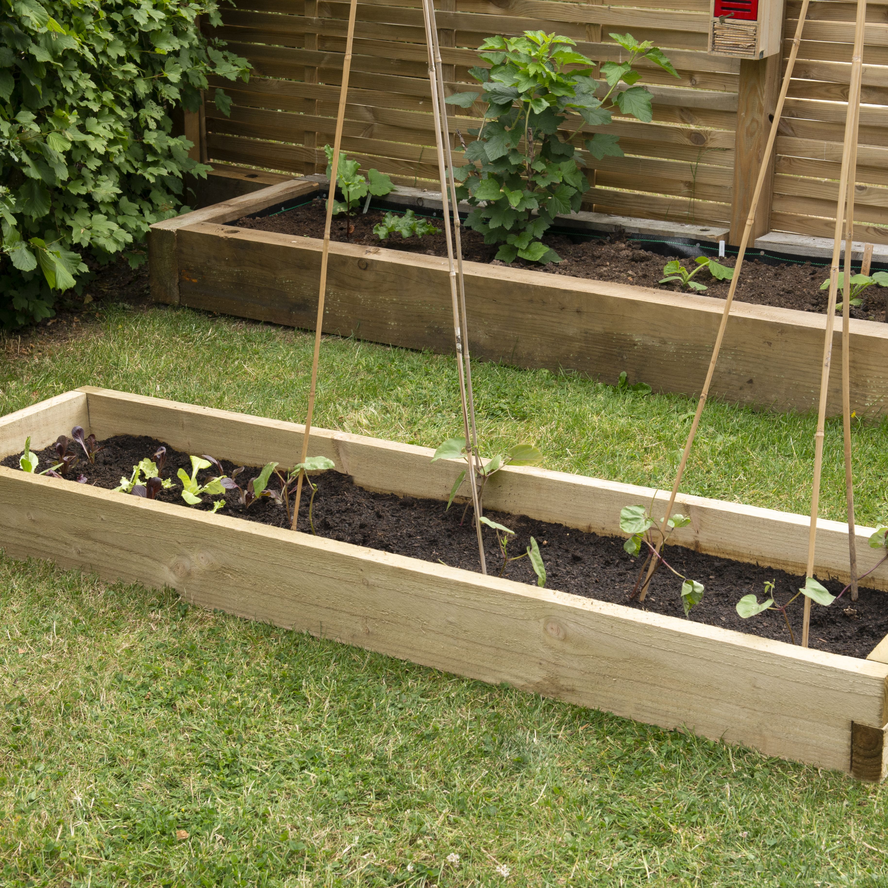Forest Garden Rectangular Raised bed kit