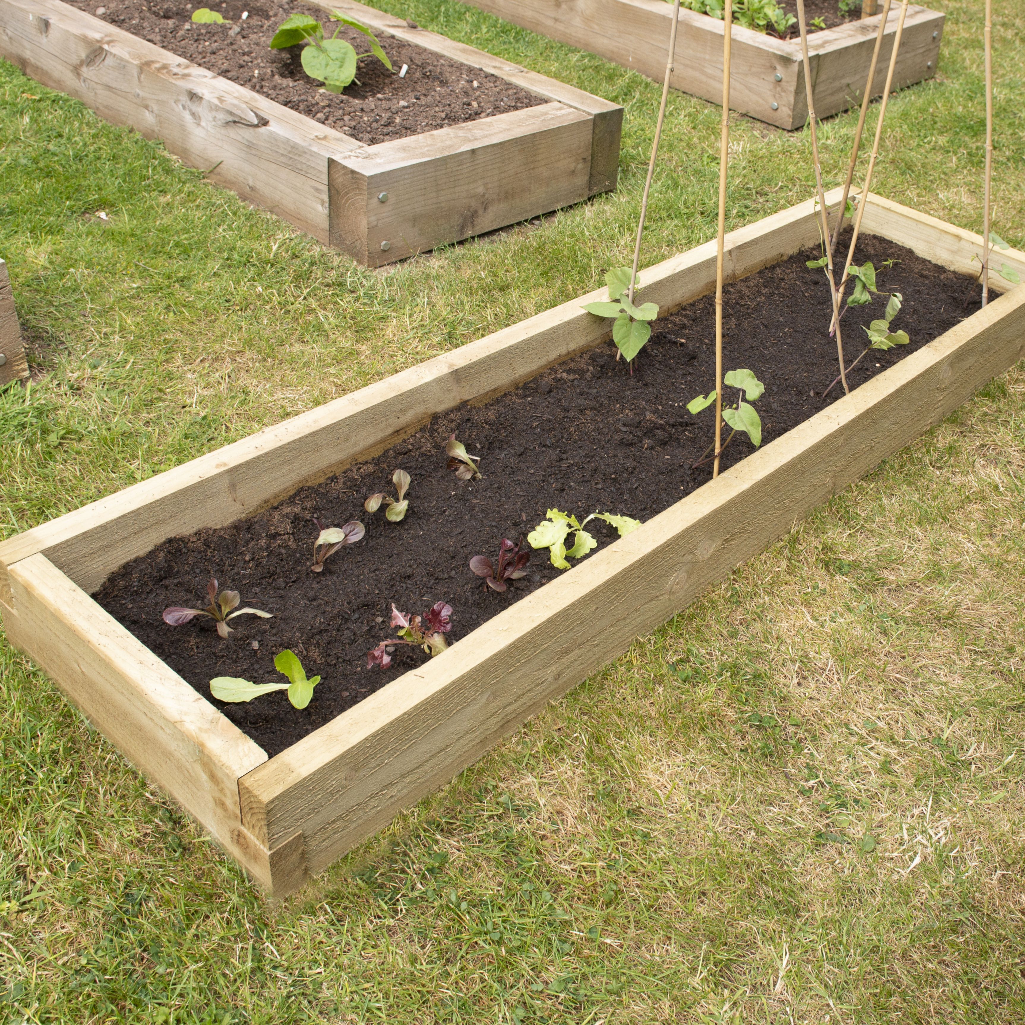 Forest Garden Rectangular Raised bed kit