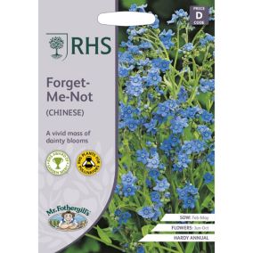 Forget-Me-Not (Chinese) Forget-Me-Not Seed