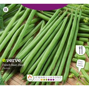 French bean paulista French bean Seed