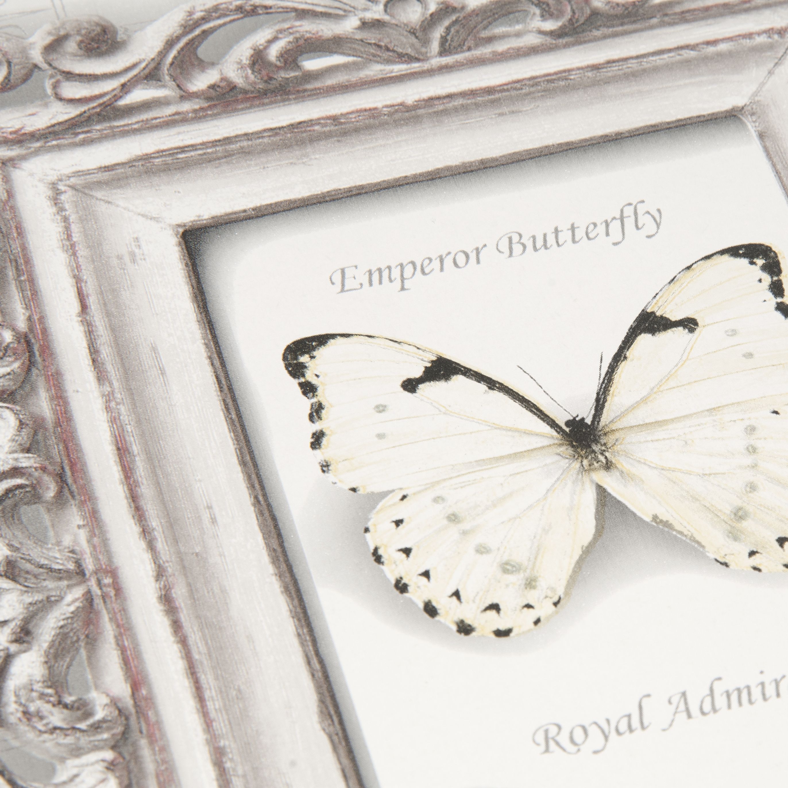 Fresco Emphoria White Butterfly Smooth Wallpaper Sample