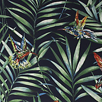 Fresco Green & navy Hummingbird Smooth Wallpaper