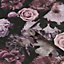 Fresco Pandora drama Black & pink Floral Smooth Wallpaper
