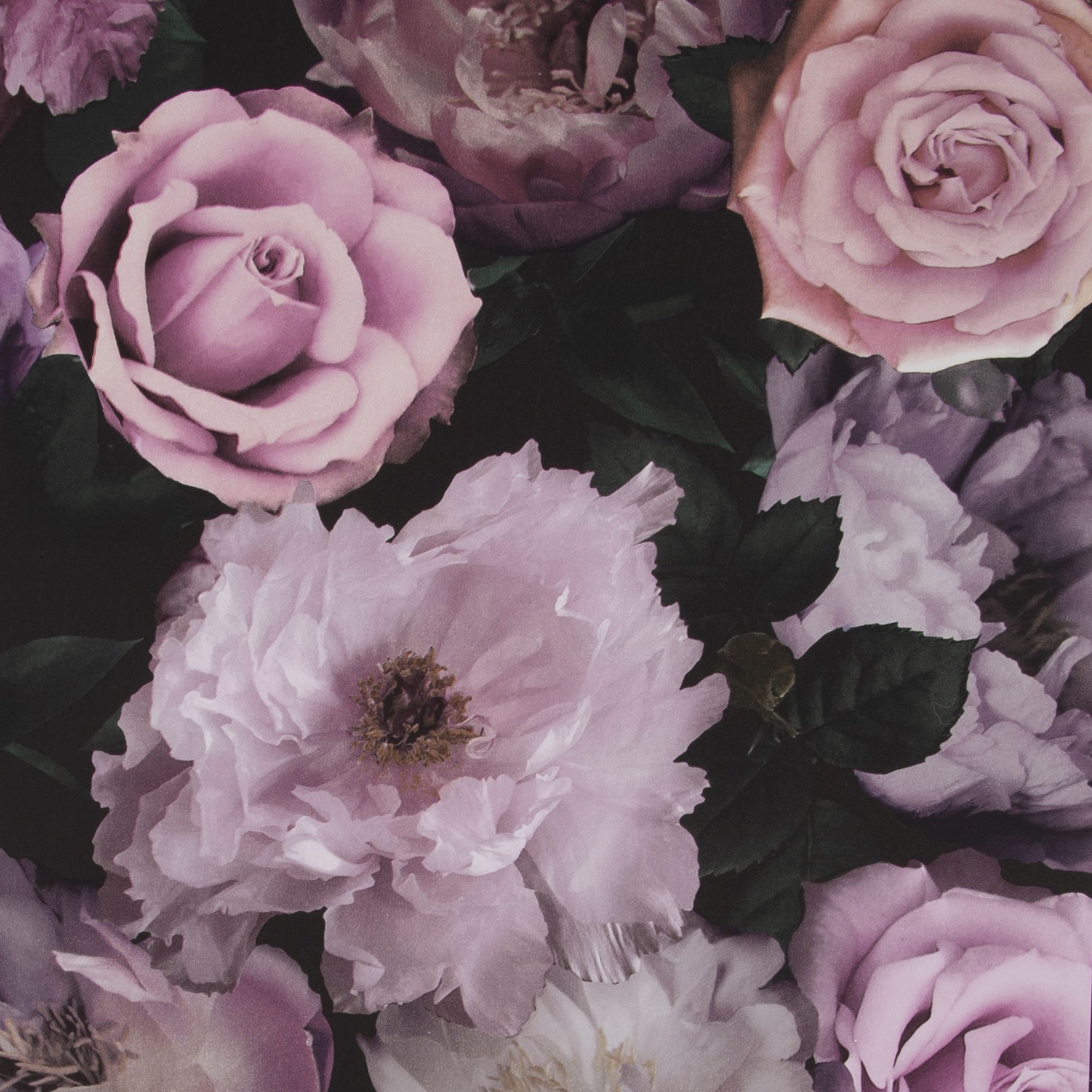 Fresco Pandora drama Black & pink Floral Smooth Wallpaper