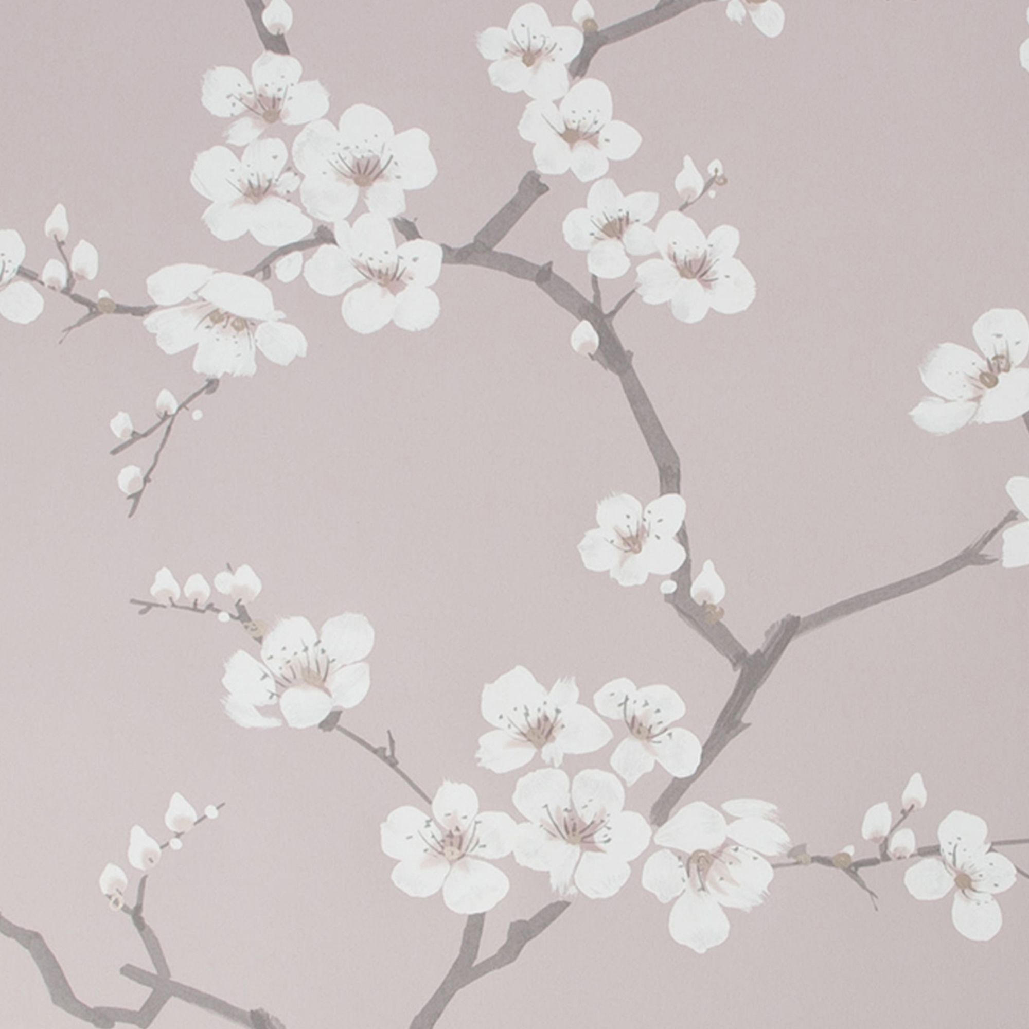Fresco Pink Apple blossom Smooth Wallpaper