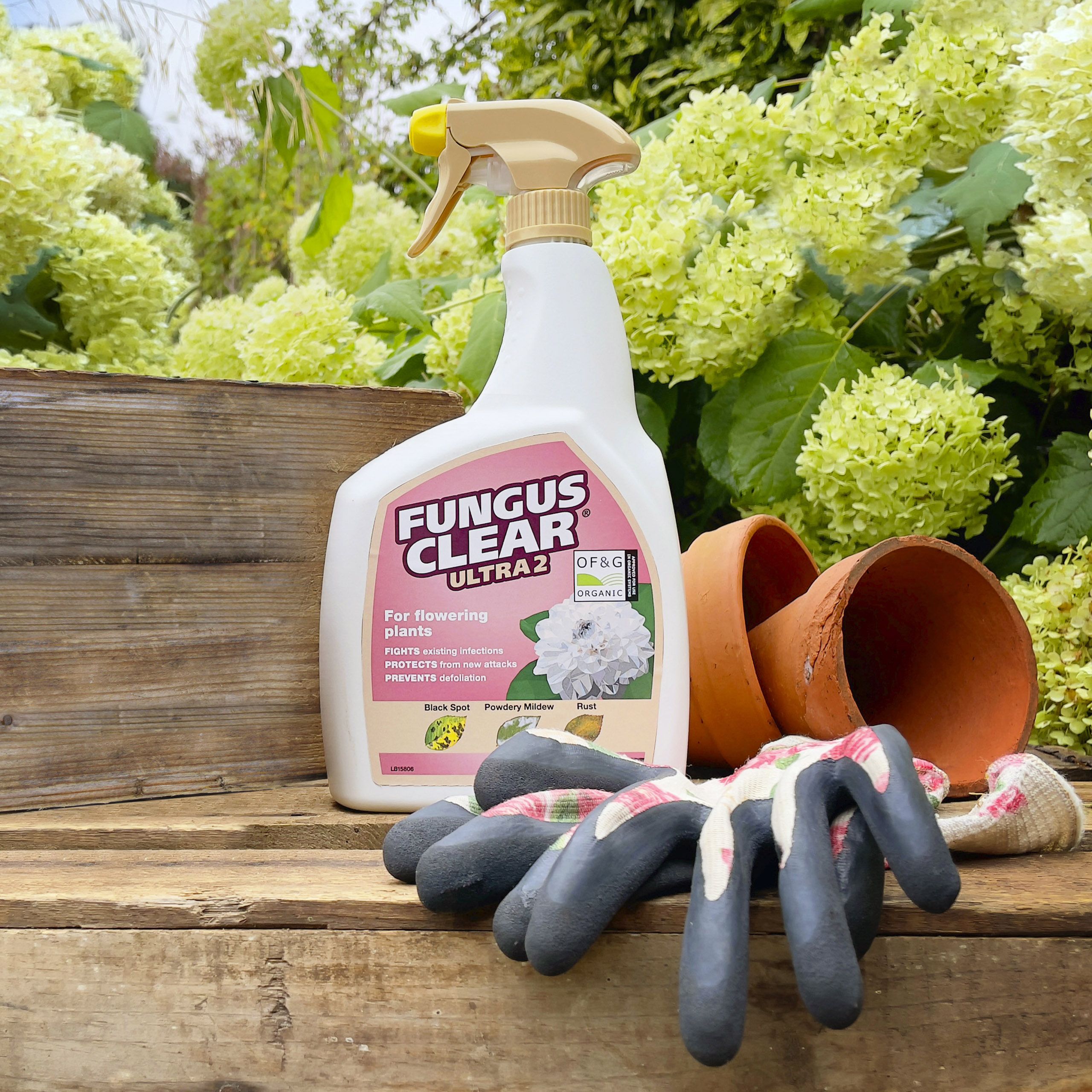 Fungus Clear Ultra Fungicide 0.8L
