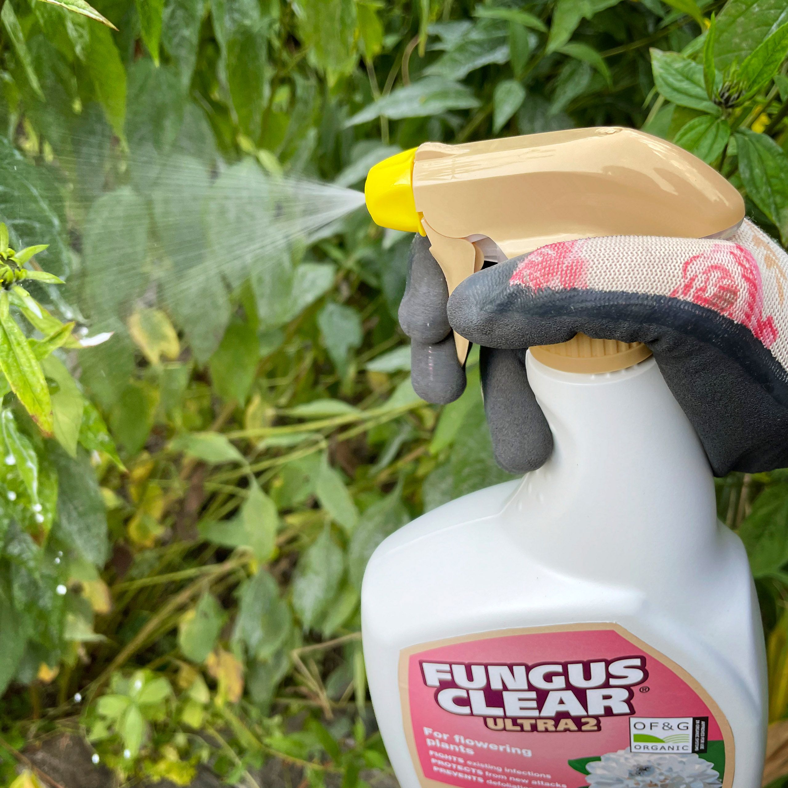 Fungus Clear Ultra Fungicide 0.8L
