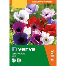 Garden anemone mixed, Pack of 35