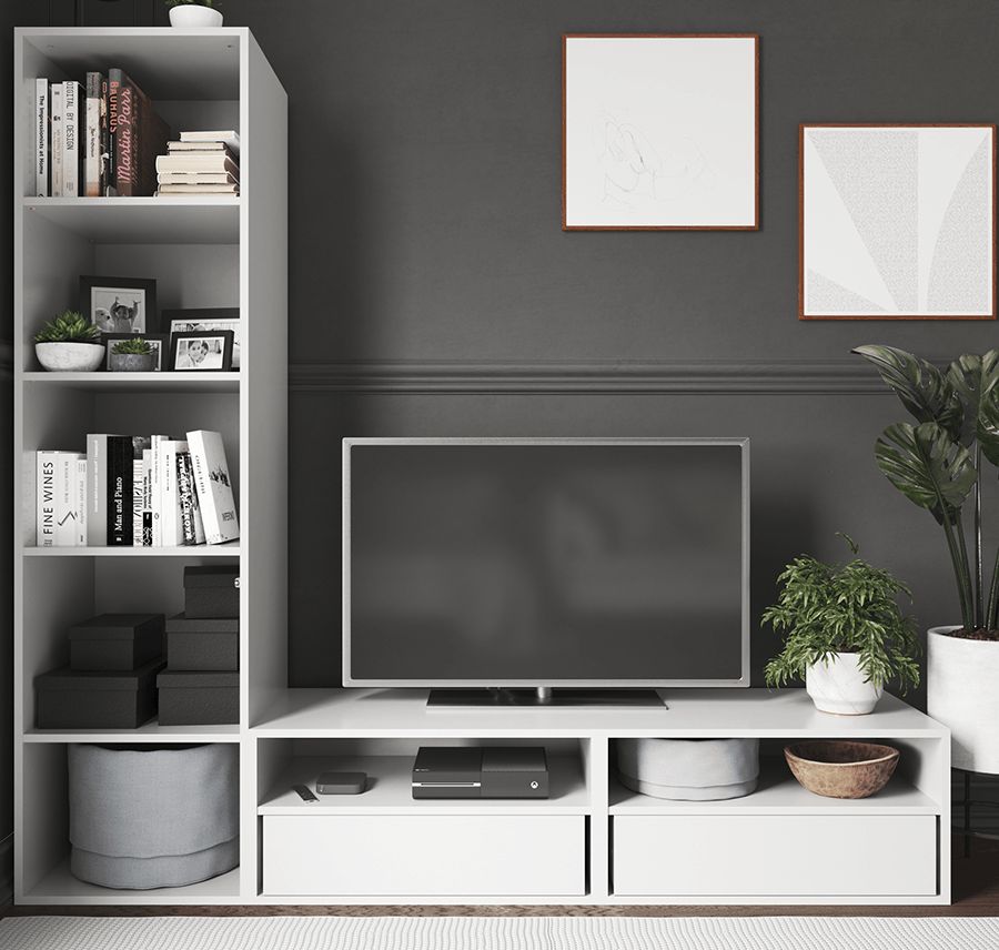 Tv storage online furniture