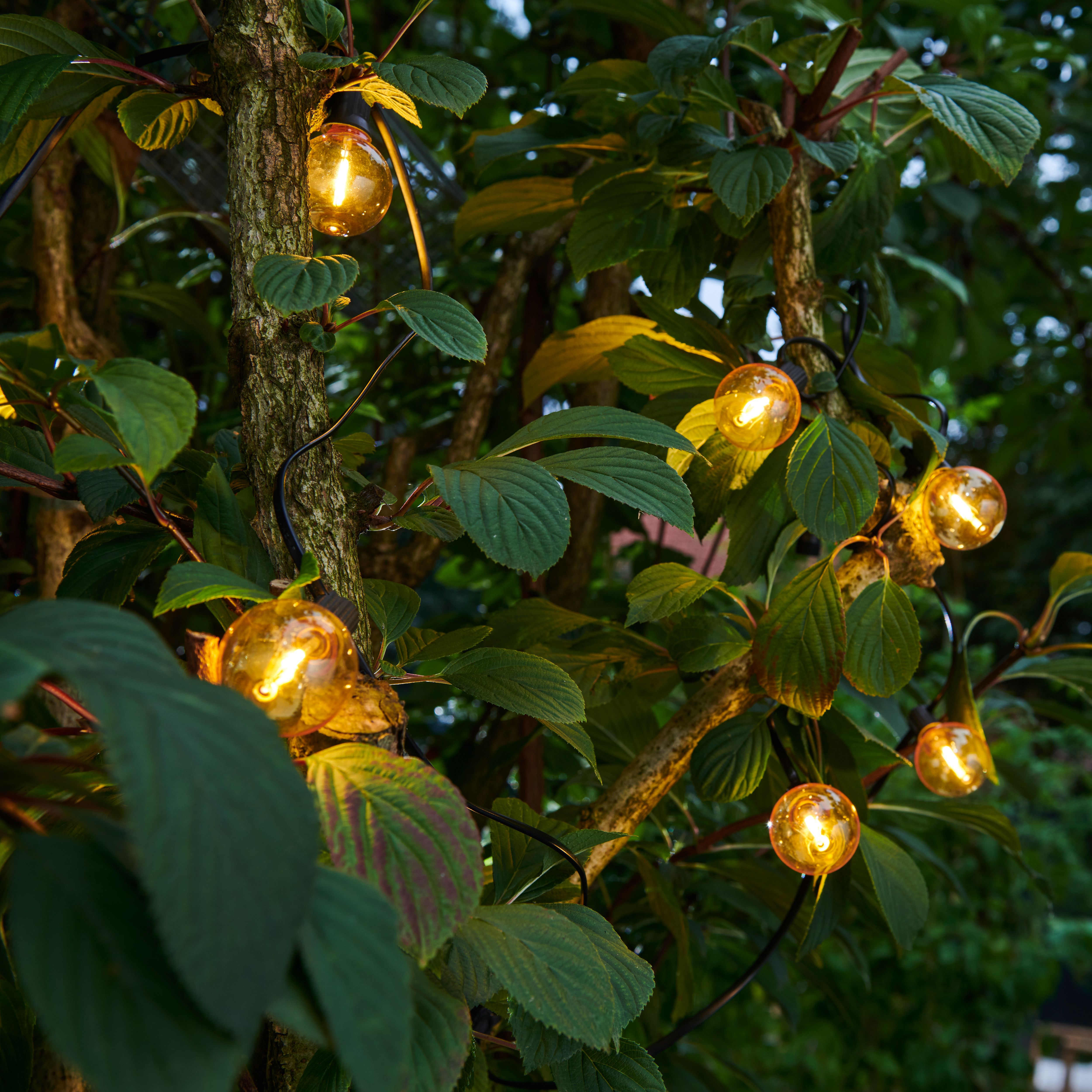 GoodHome Bideford Mains-powered (plug-in) Warm white 10 LED Indoor & outdoor String lights