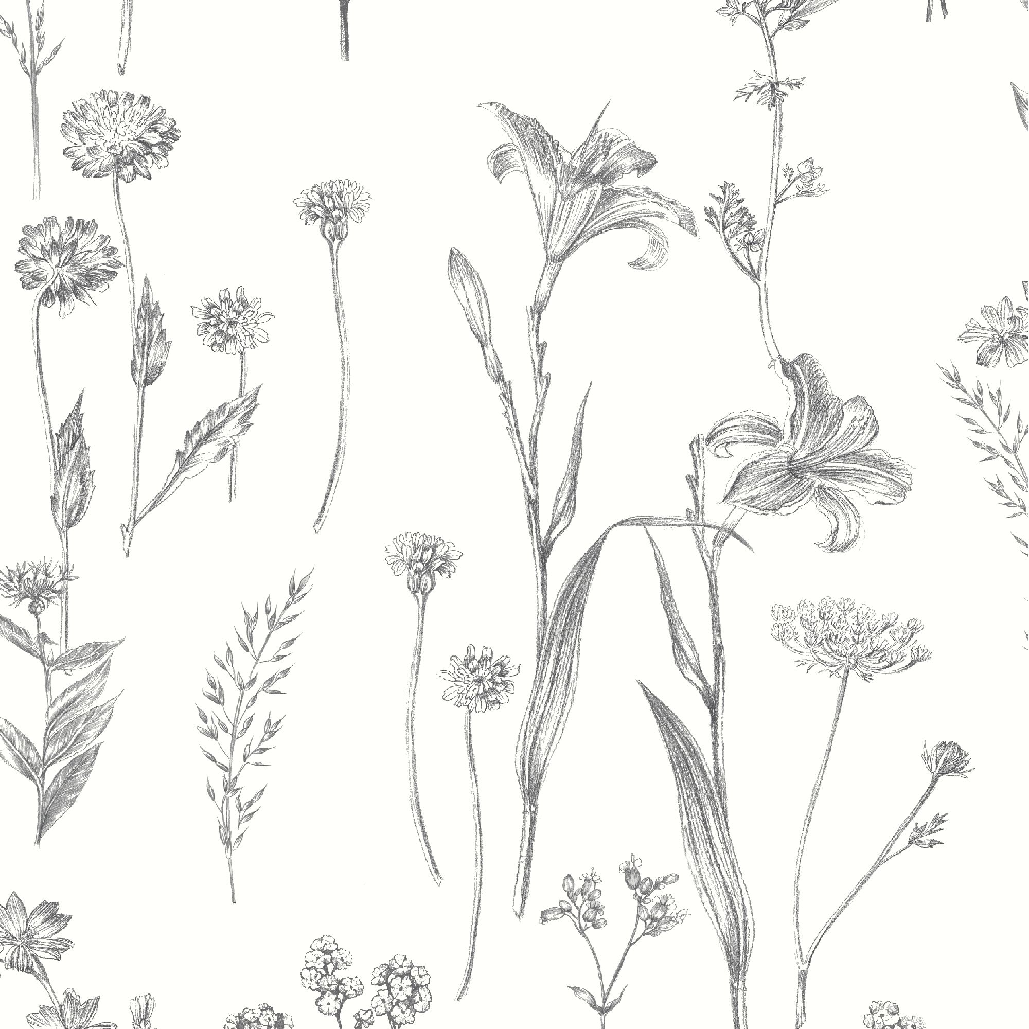 GoodHome Conyza Grey & white Floral Textured Wallpaper