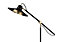GoodHome Delagoa Matt Black & Gold LED Floor lamp