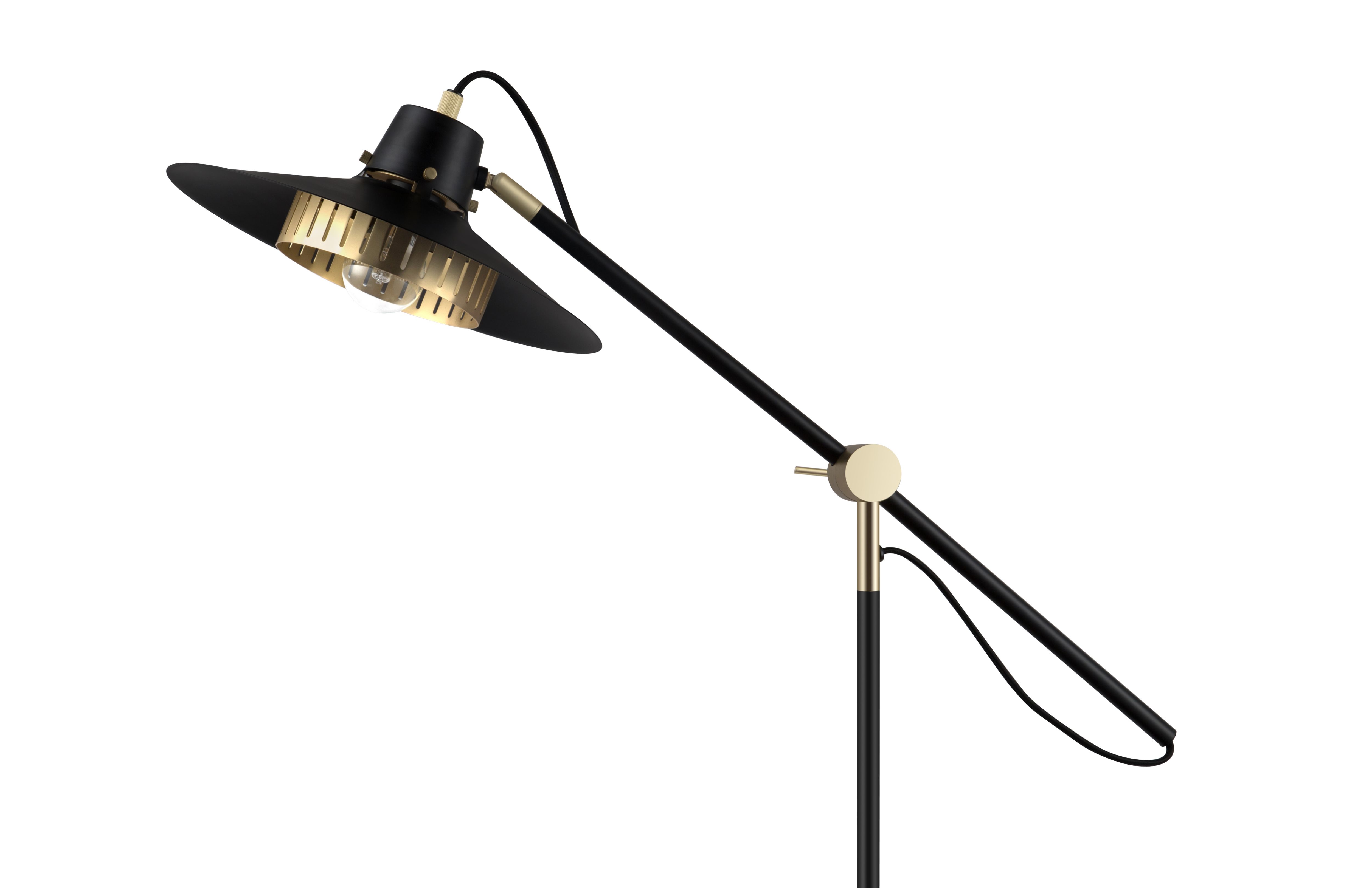 GoodHome Delagoa Matt Black & Gold LED Floor lamp