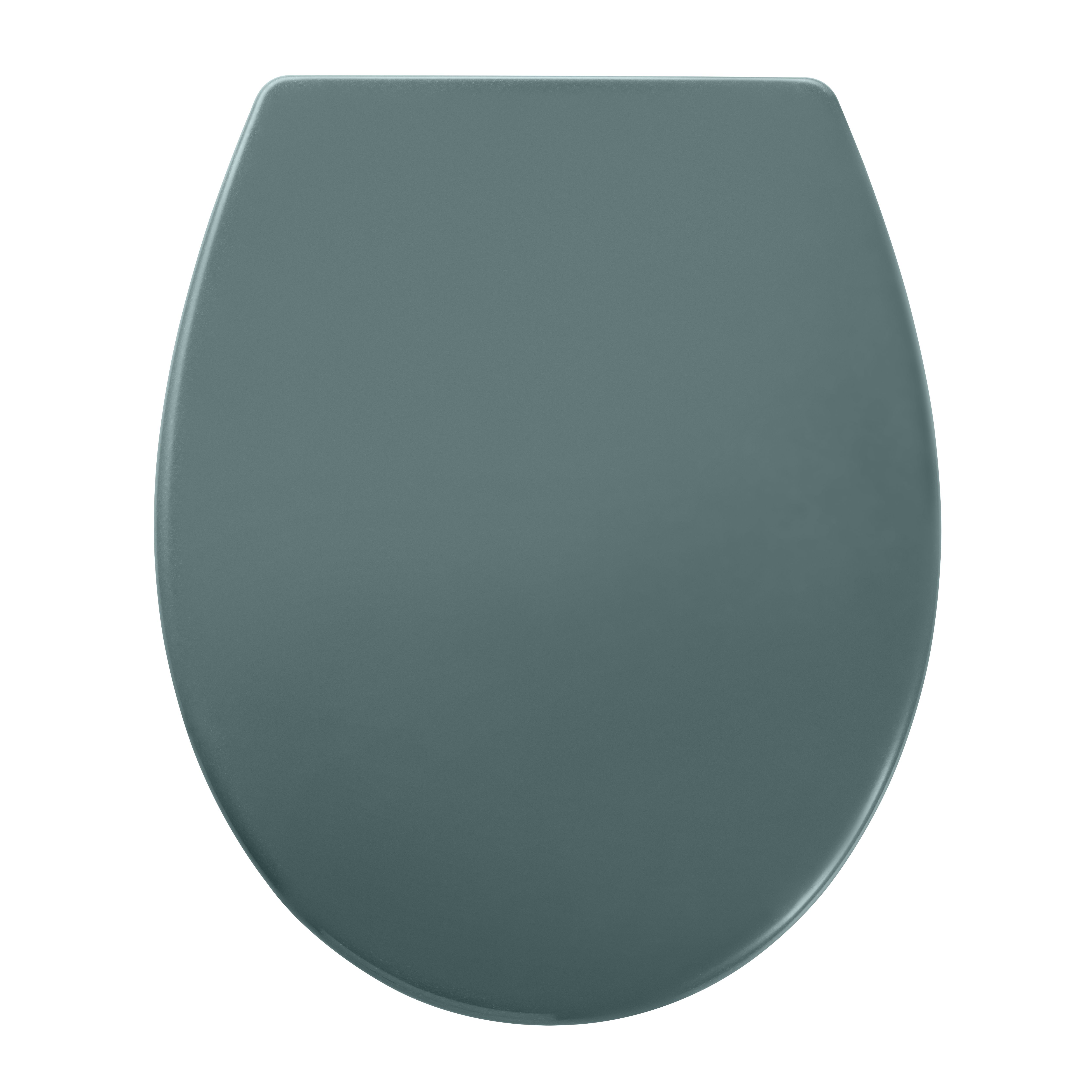 GoodHome Diani Green Standard Soft close Toilet seat