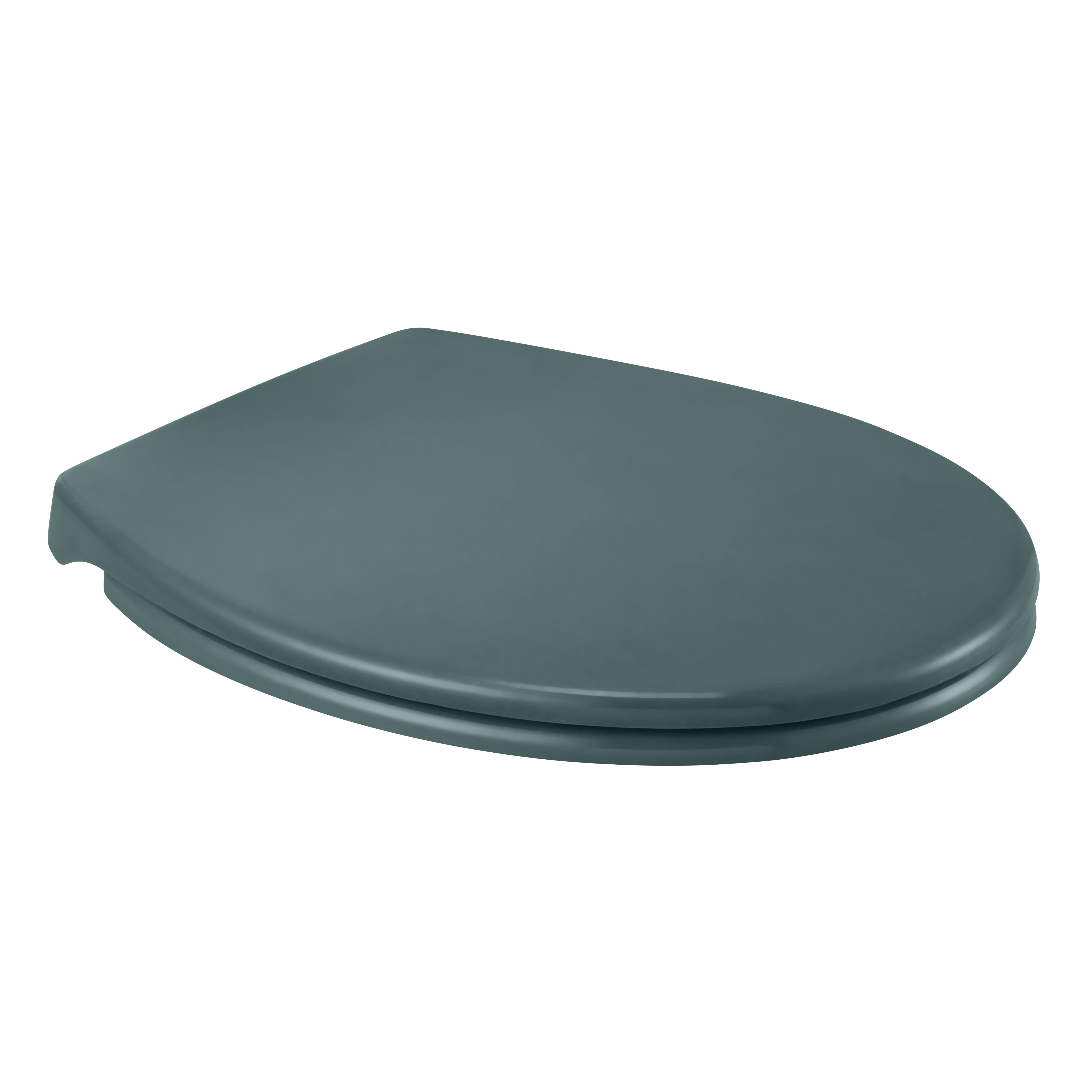 GoodHome Diani Green Standard Soft close Toilet seat