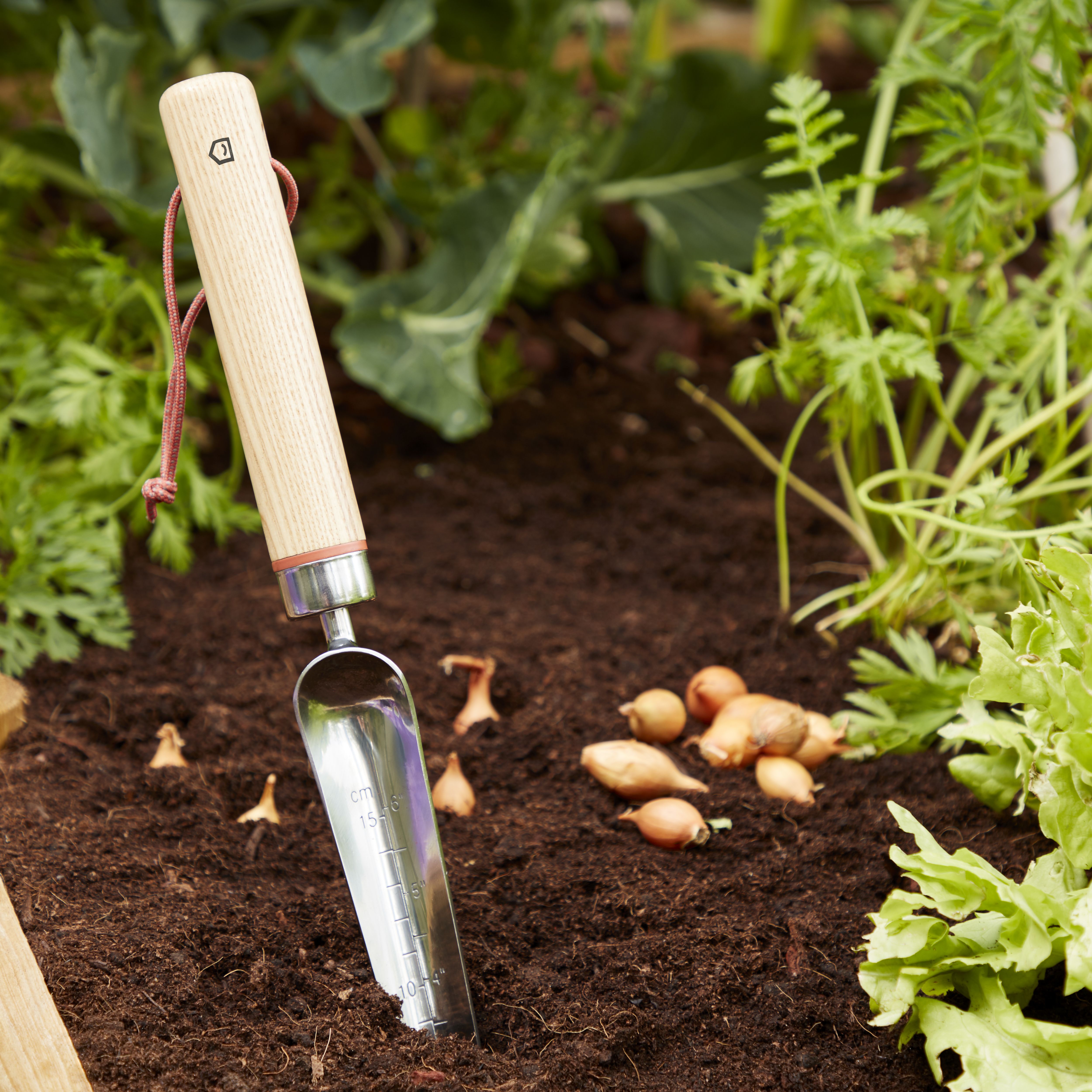 GoodHome Durum Transplanter